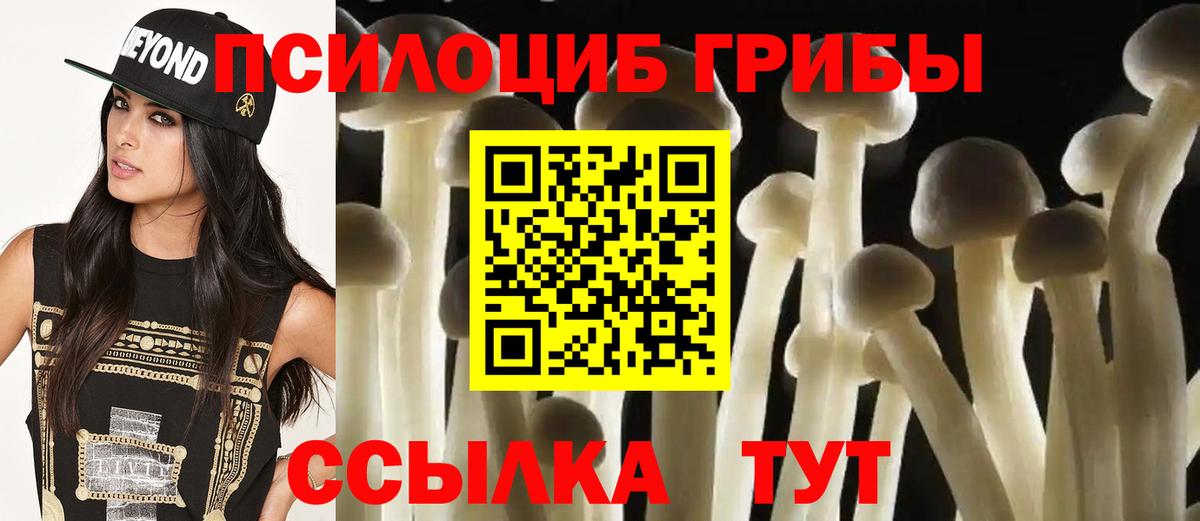 Псилоцибиновые грибы GOLDEN TEACHER  Вход с VPN  Галлюциногенные грибы прущие грибы  магазин продажи наркотиков  Камень-на-Оби 