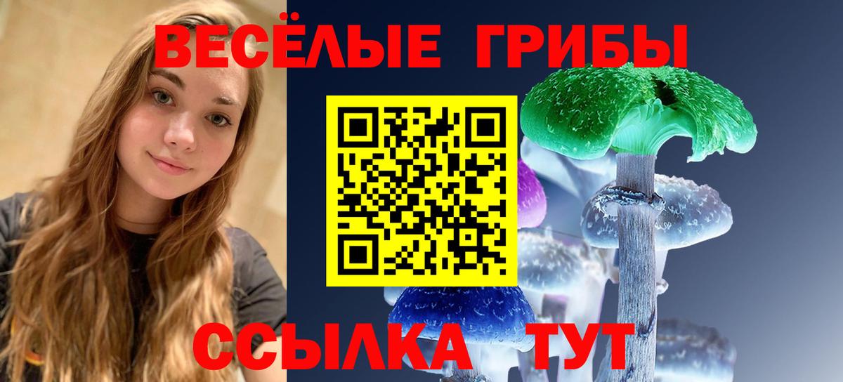 Псилоцибиновые грибы Psilocybine cubensis Камень-на-Оби